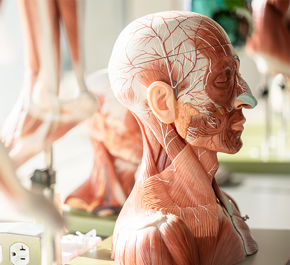 أقراص ومحاقن تشير إلى استخدام المخدرات